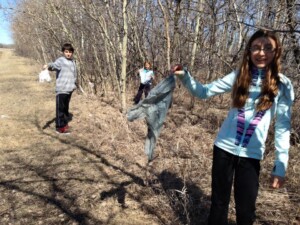 William S. Patterson School cleaning up plastic bags in their neighbourhood.