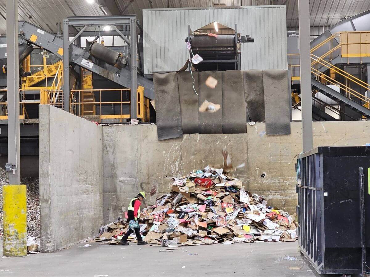 A recycling facility employee picks up contaminants from a pile of cardboard.